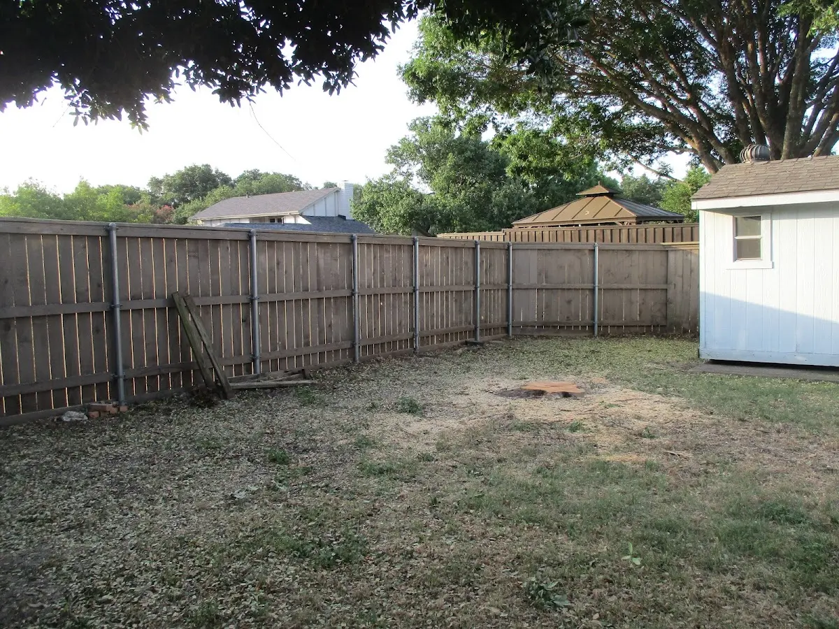 Cleared yard after professional tree removal in Bladensburg
