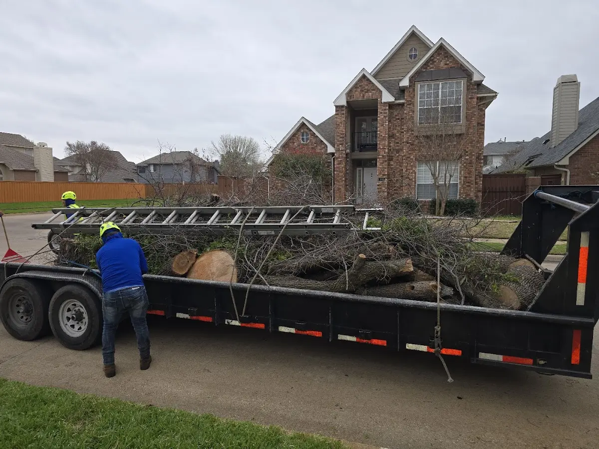 Expert Tree Pest Control with proper safety equipment in Bladensburg
